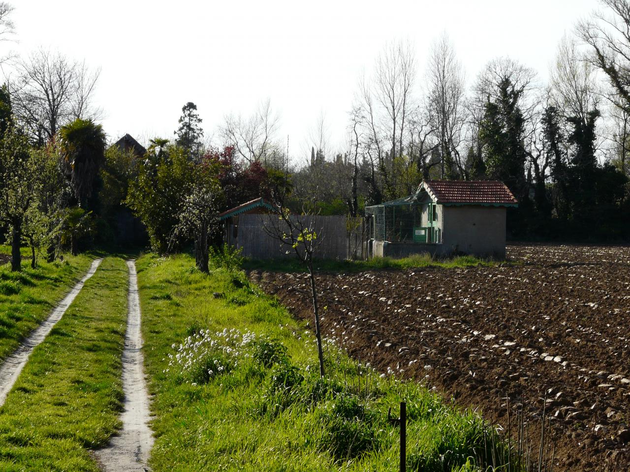 P1030524