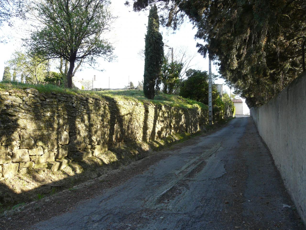 P1030533