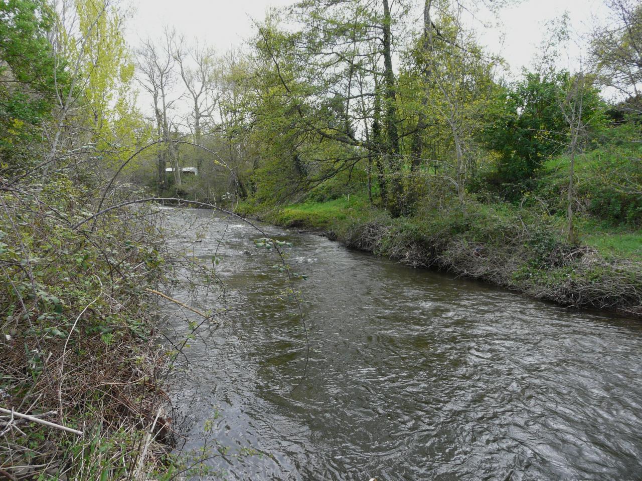 P1030540