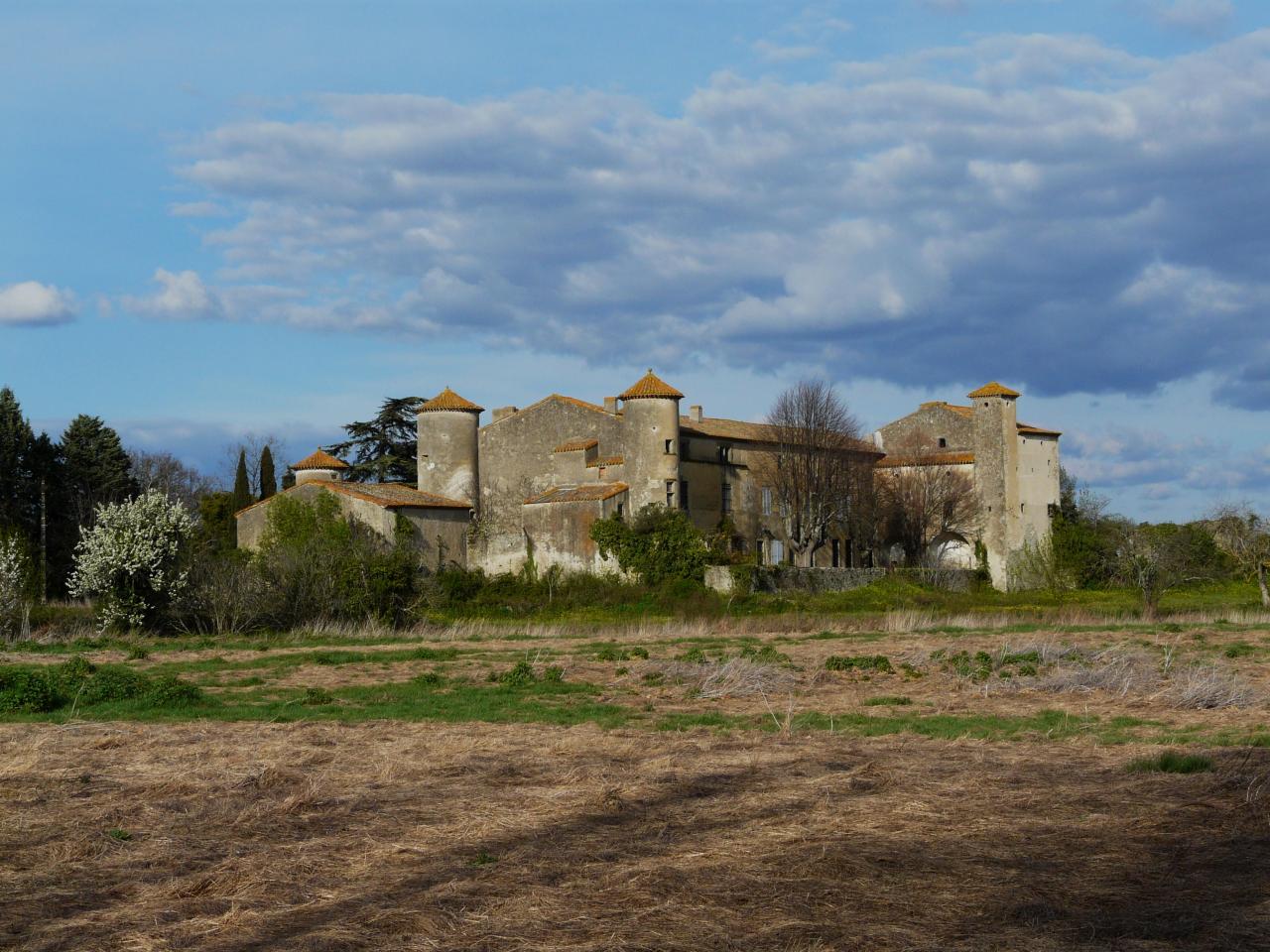 P1030543