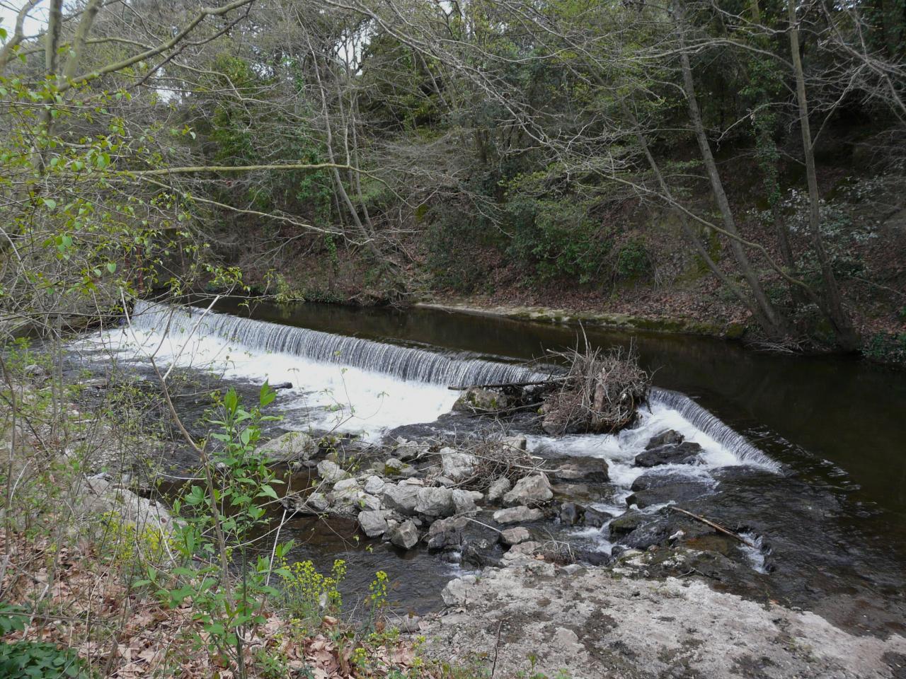 P1030545