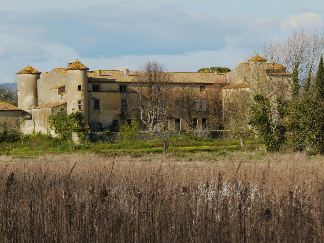 P1030553