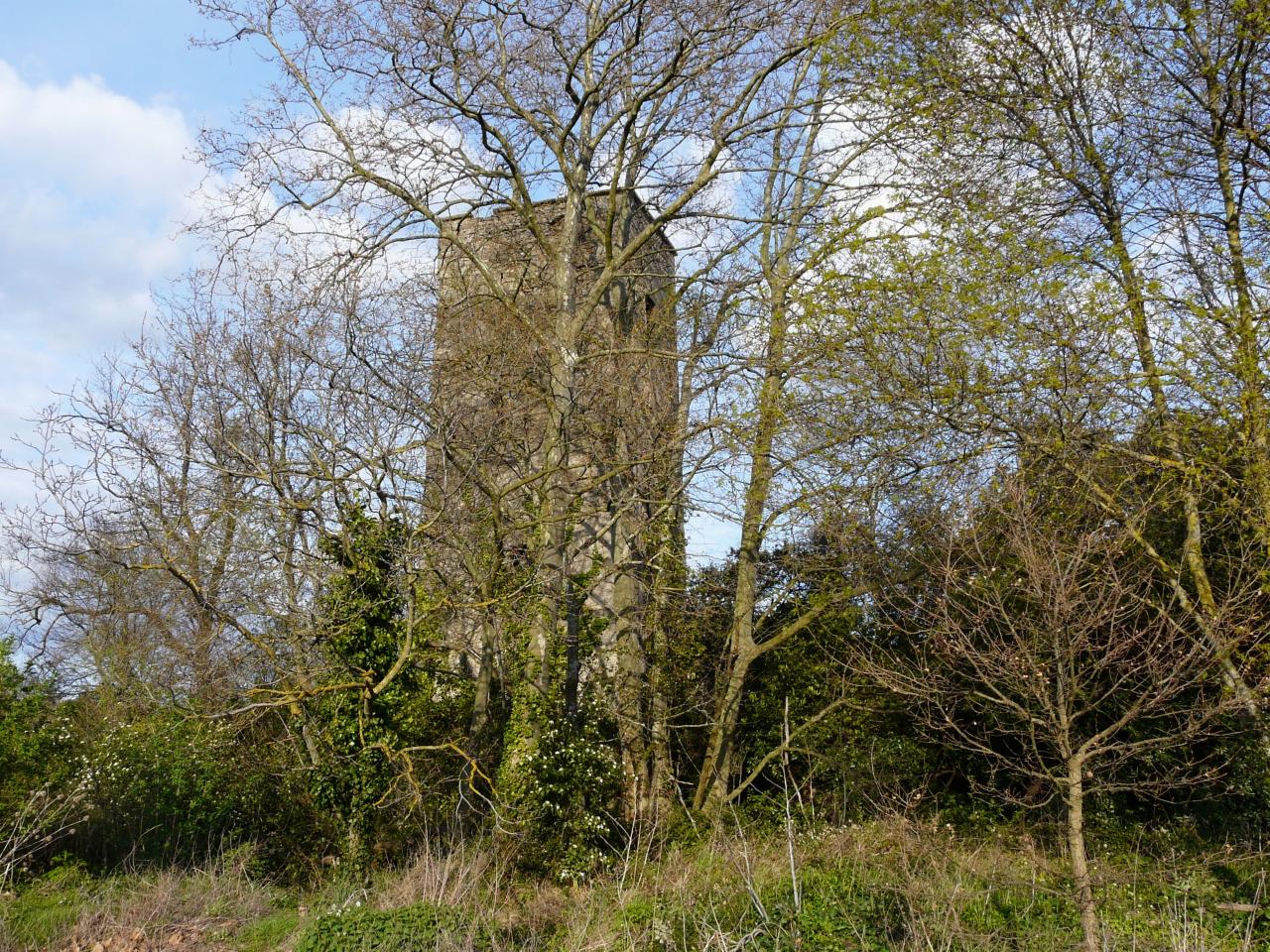 P1030558