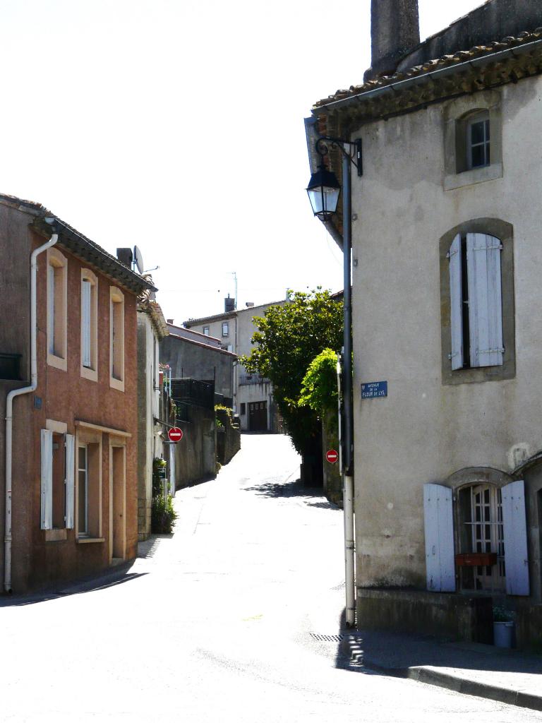 P1030971