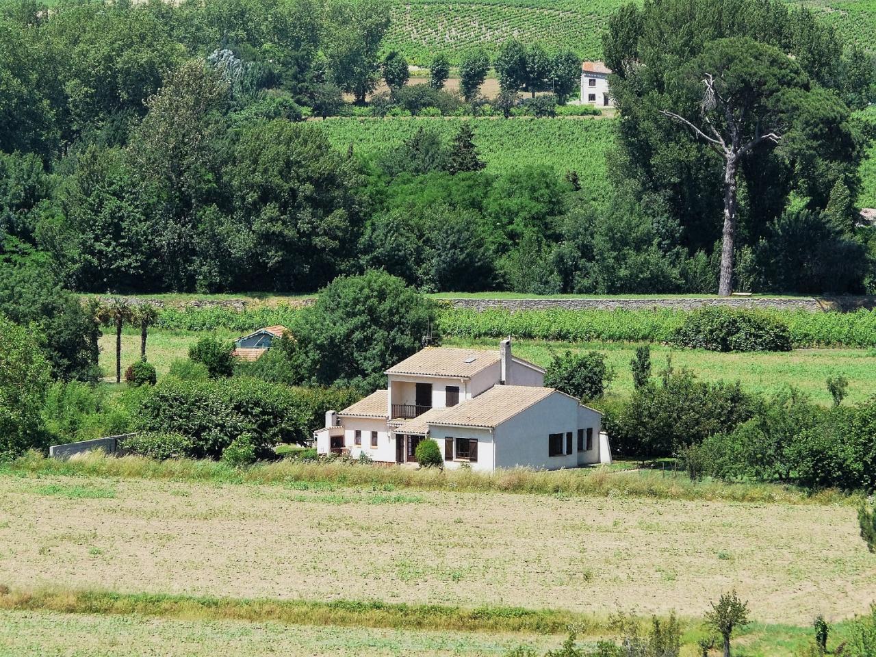 P1040004