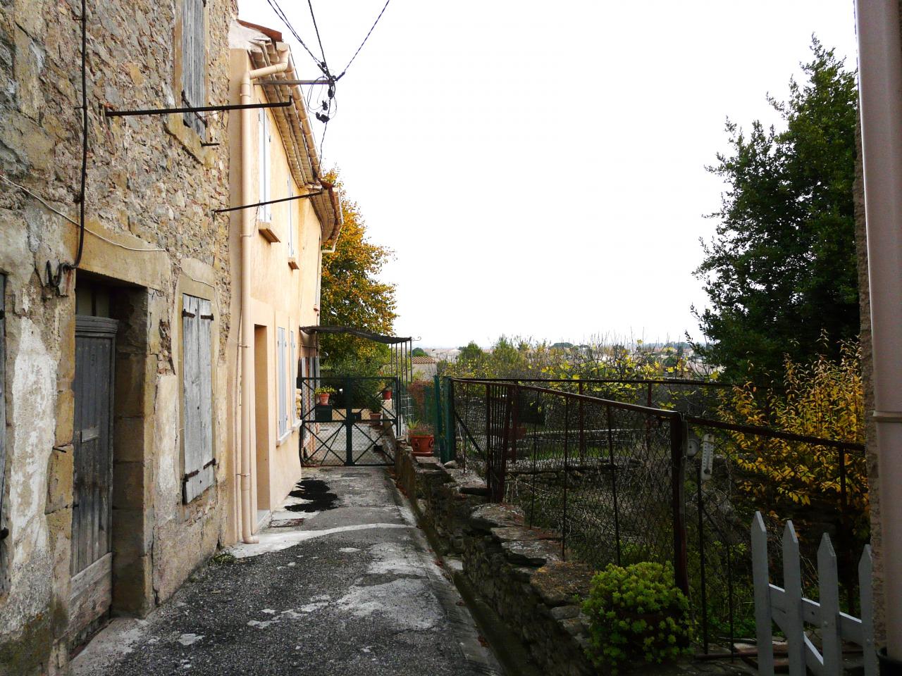 P1050223