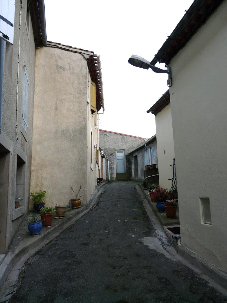 P1050237