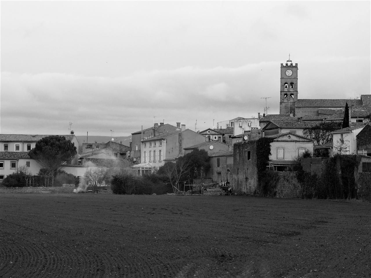 P1060416