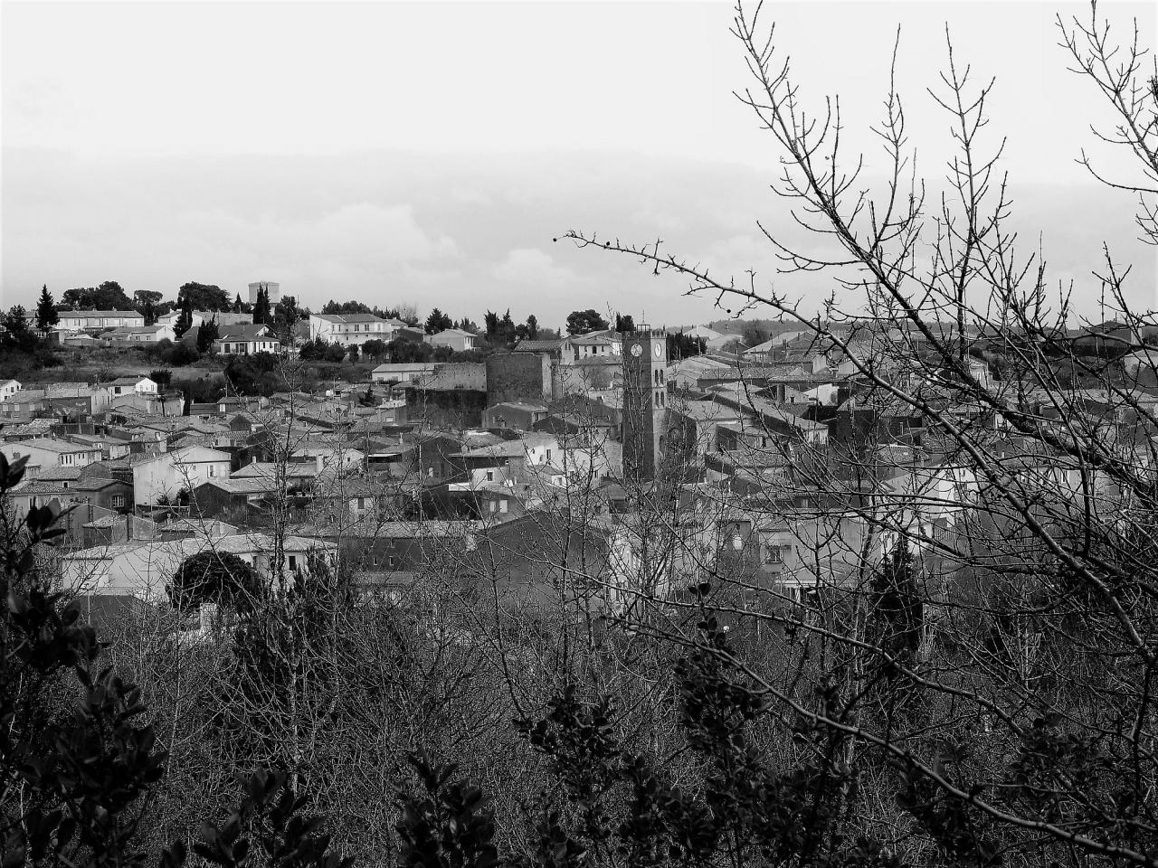 P1060422