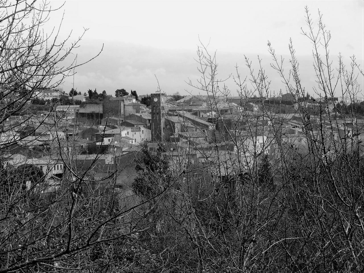 P1060423