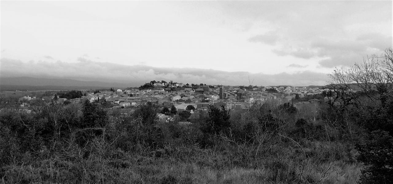 P1060429