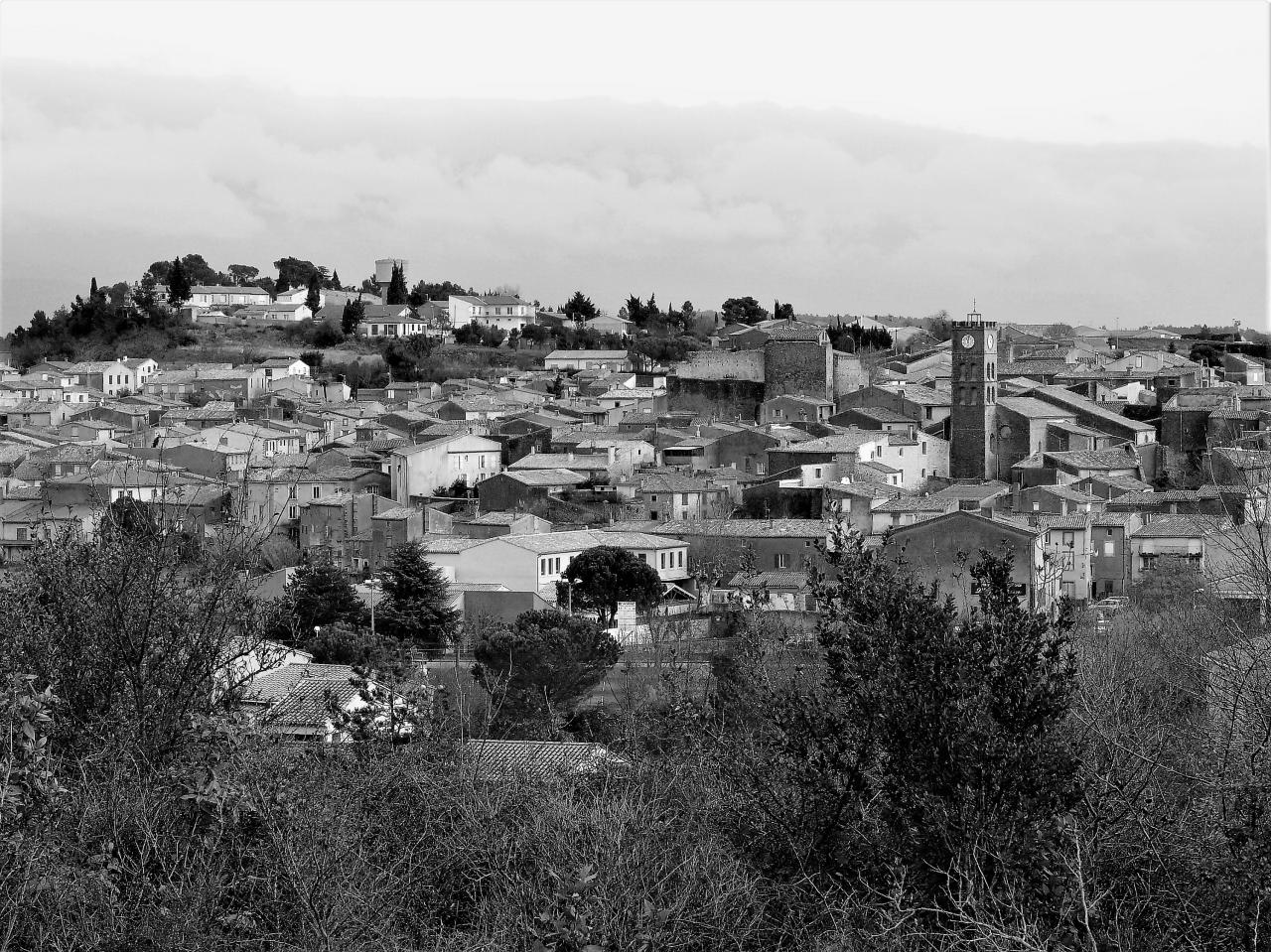 P1060433