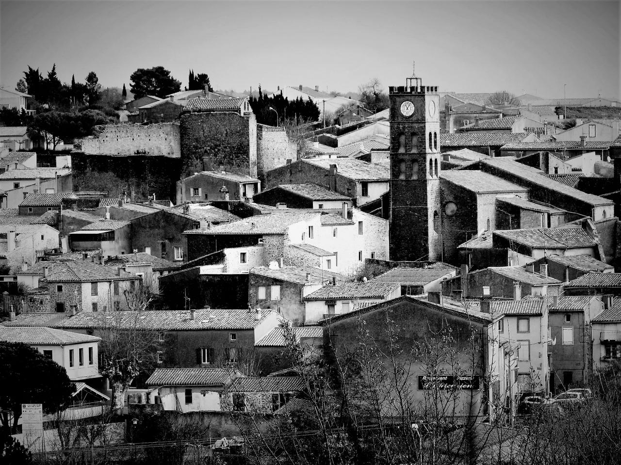 P1060437