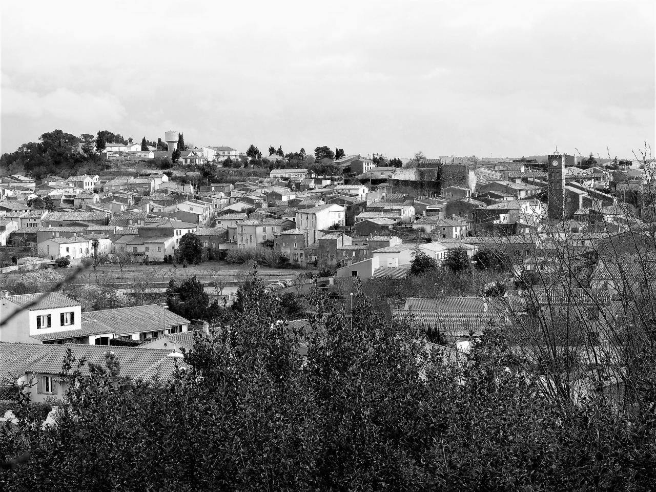 P1060440