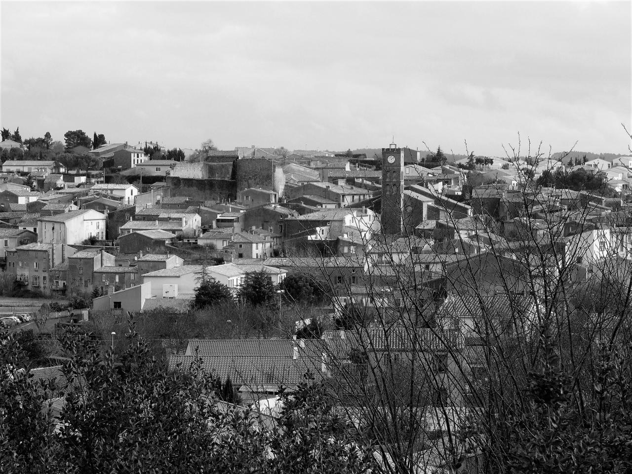 P1060441