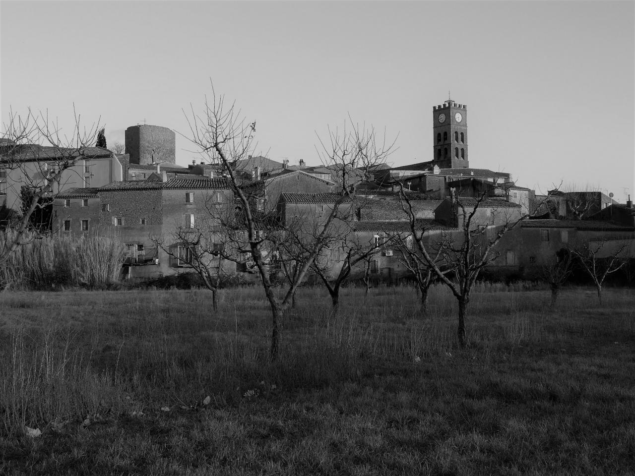 P1060836