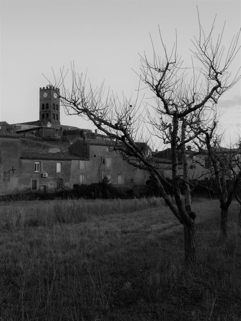 P1060852