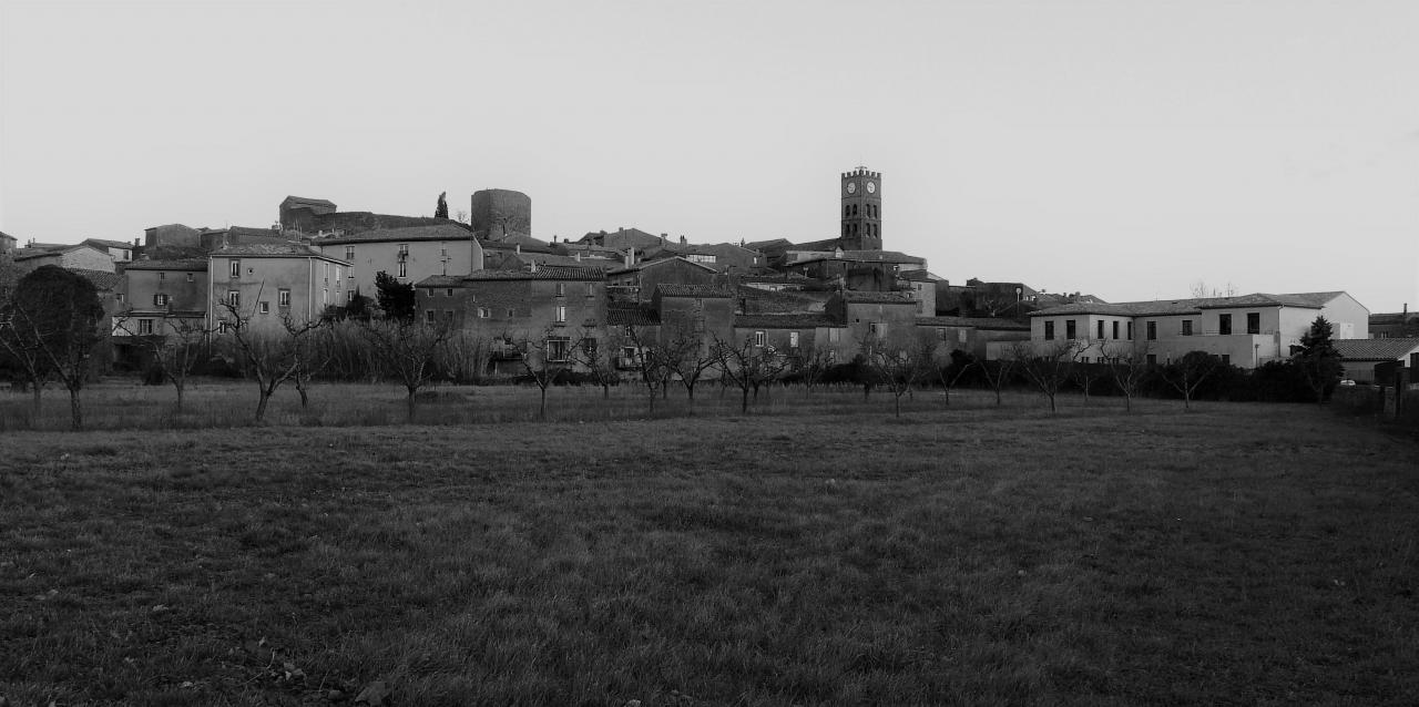 P1060854