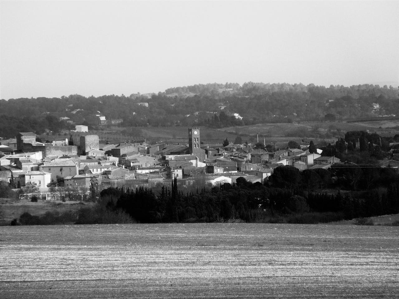 P1070073