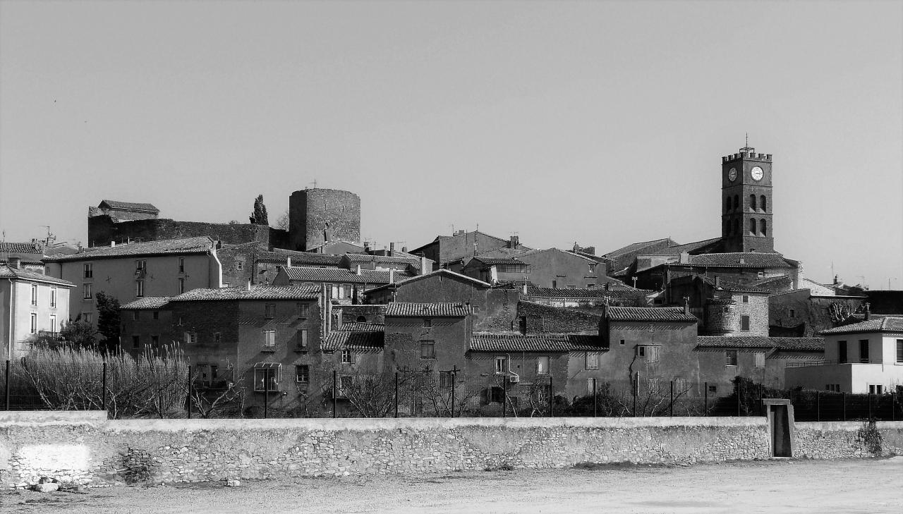 P1070456