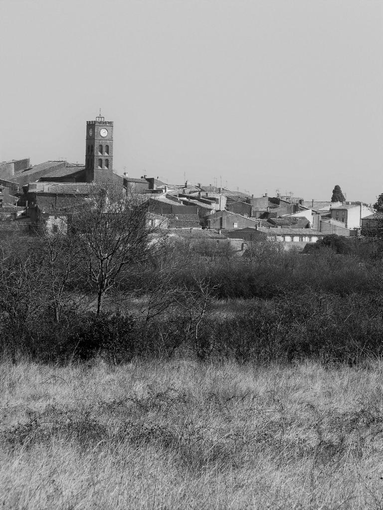 P1070458