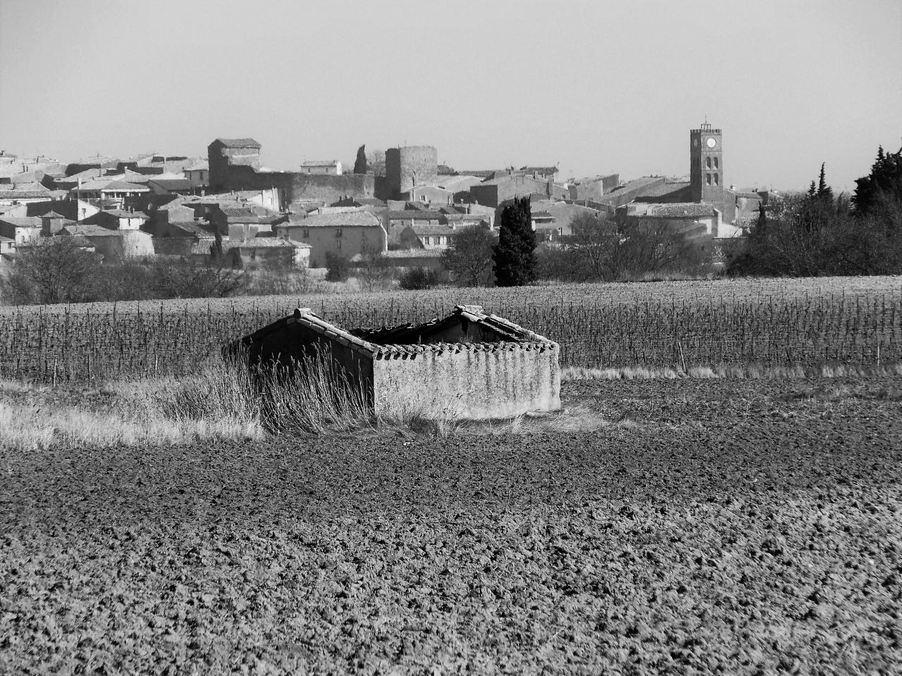 P1070460