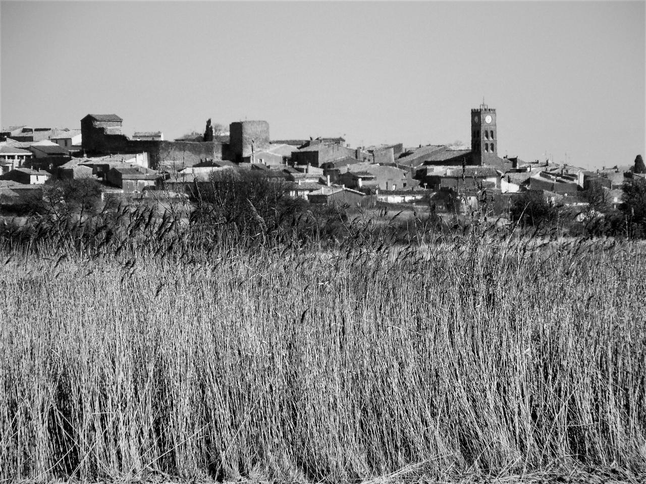 P1070465