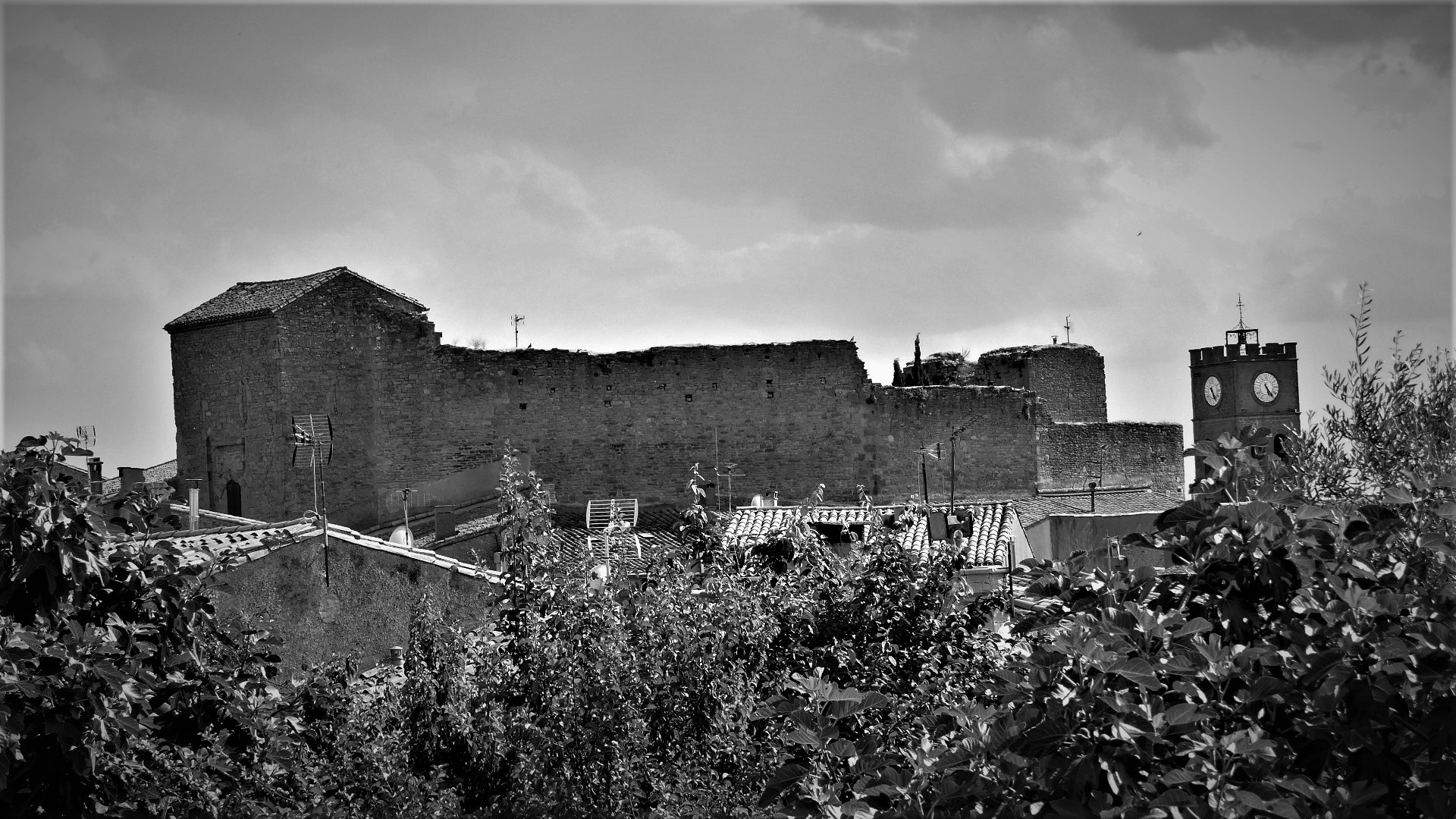 P1070921