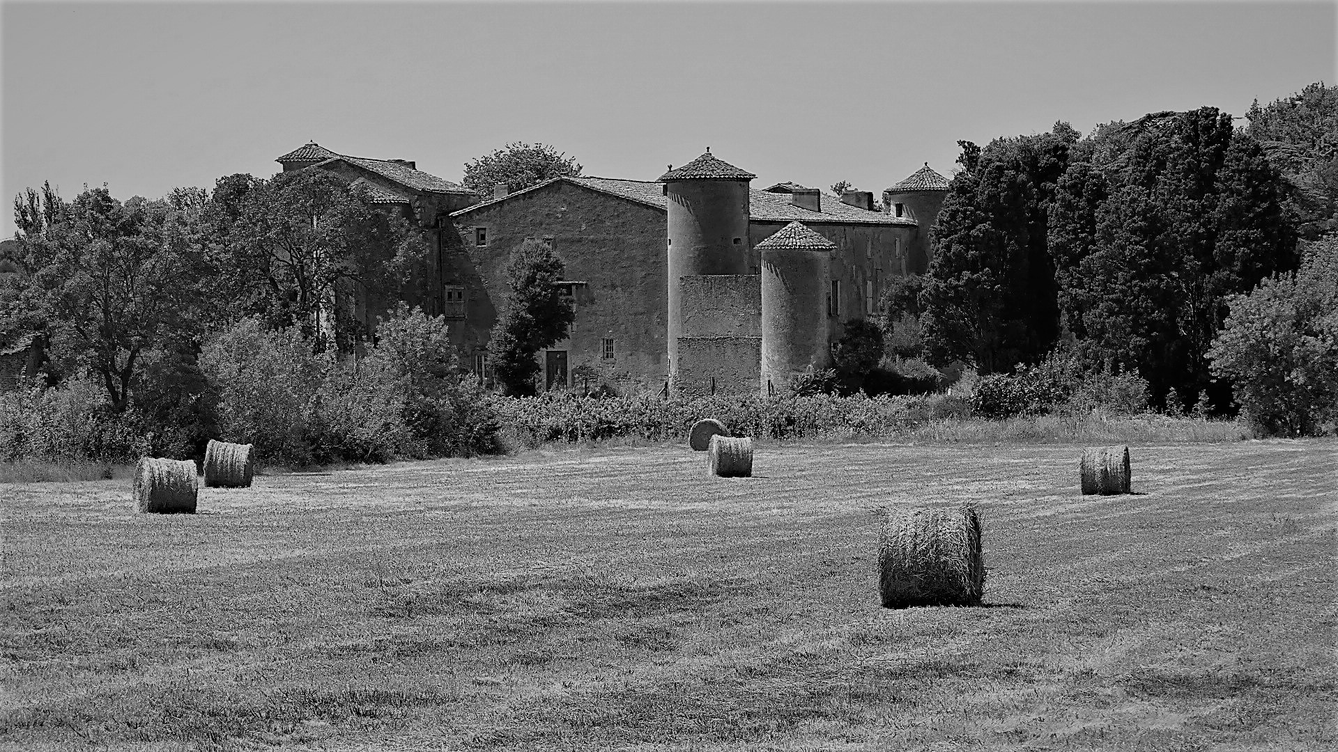 P1080618 - Copie