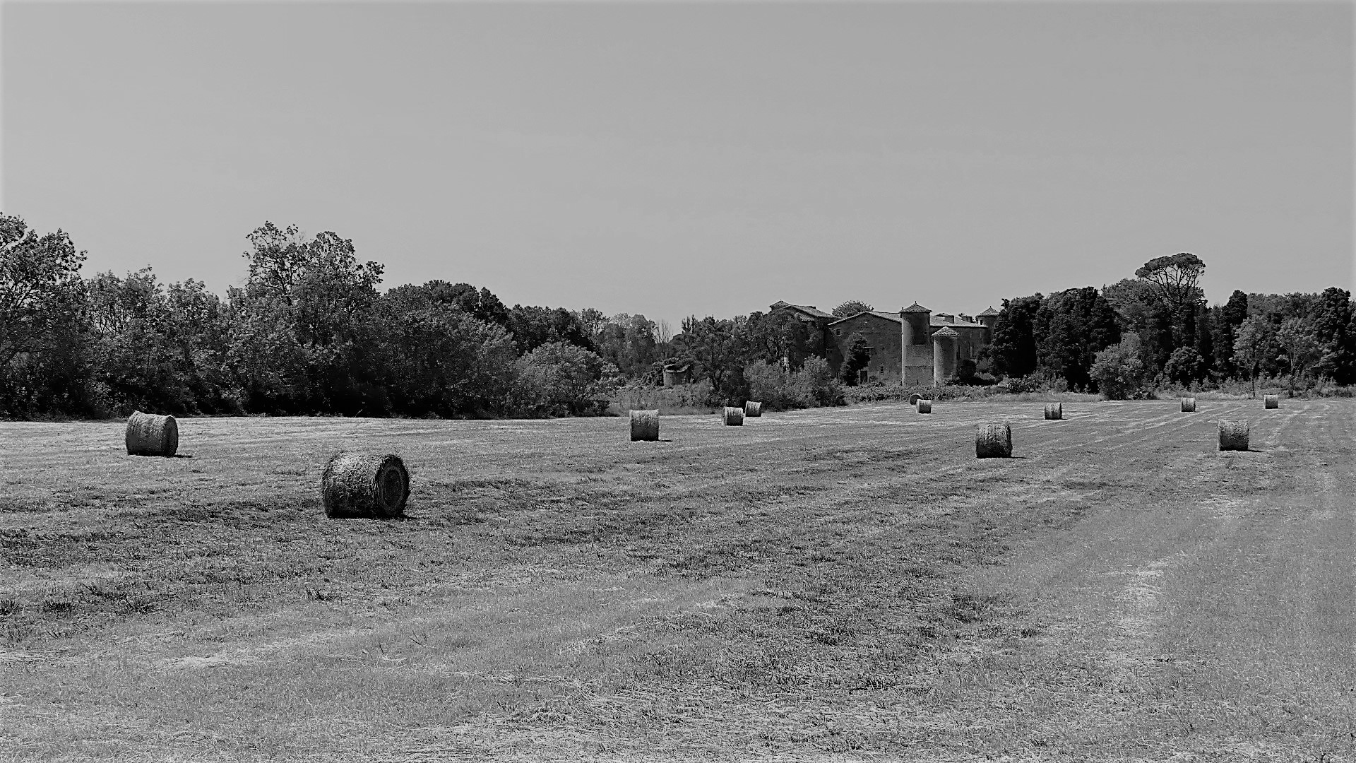 P1080619 - Copie