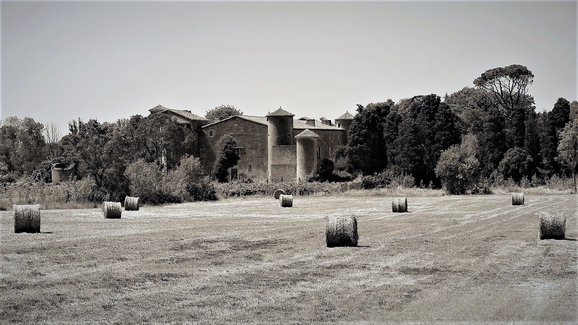 P1080620 - Copie (2)