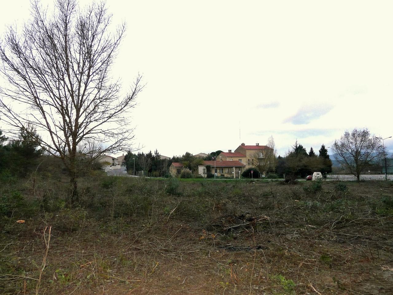 P1140245