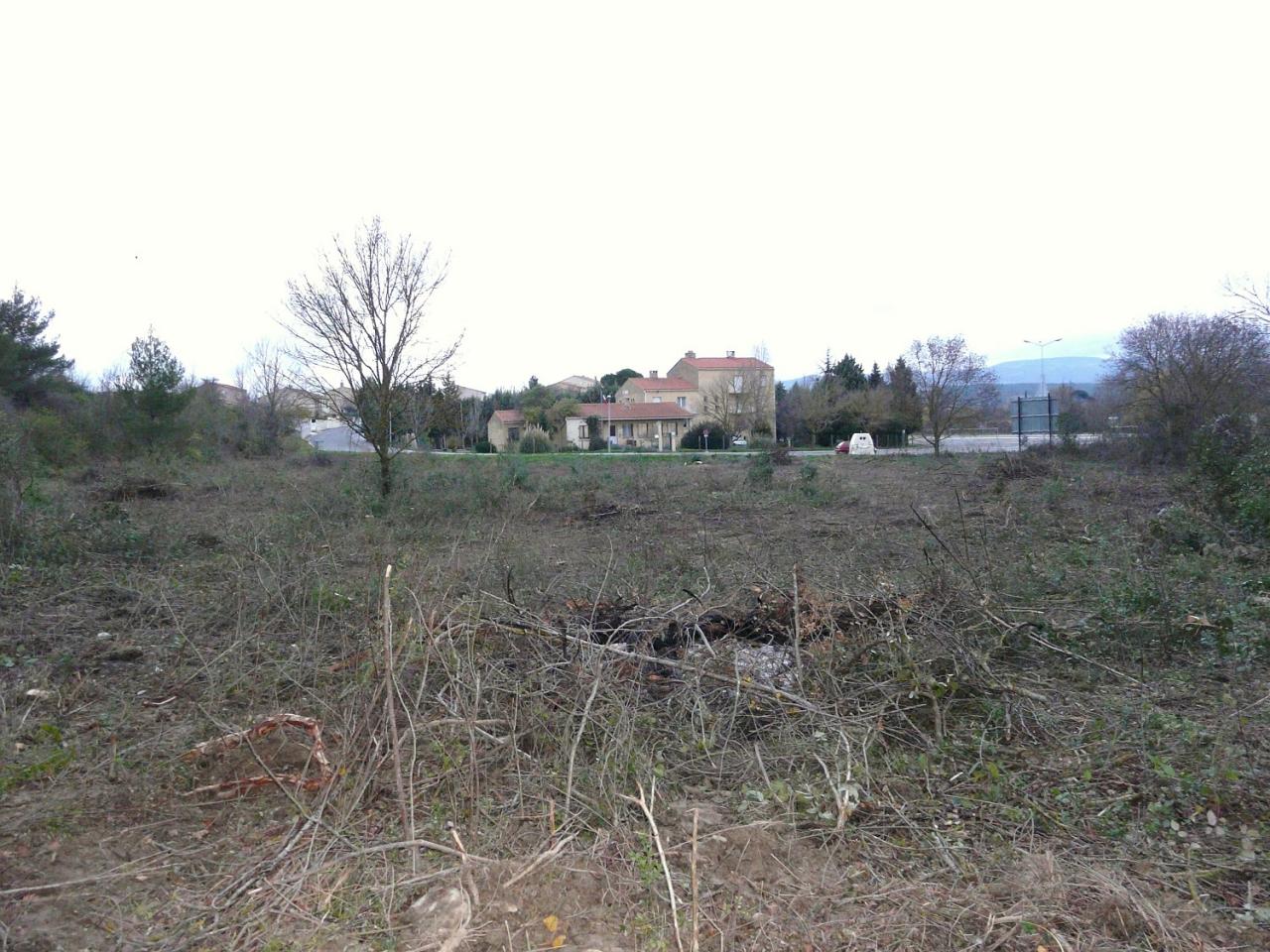 P1140247