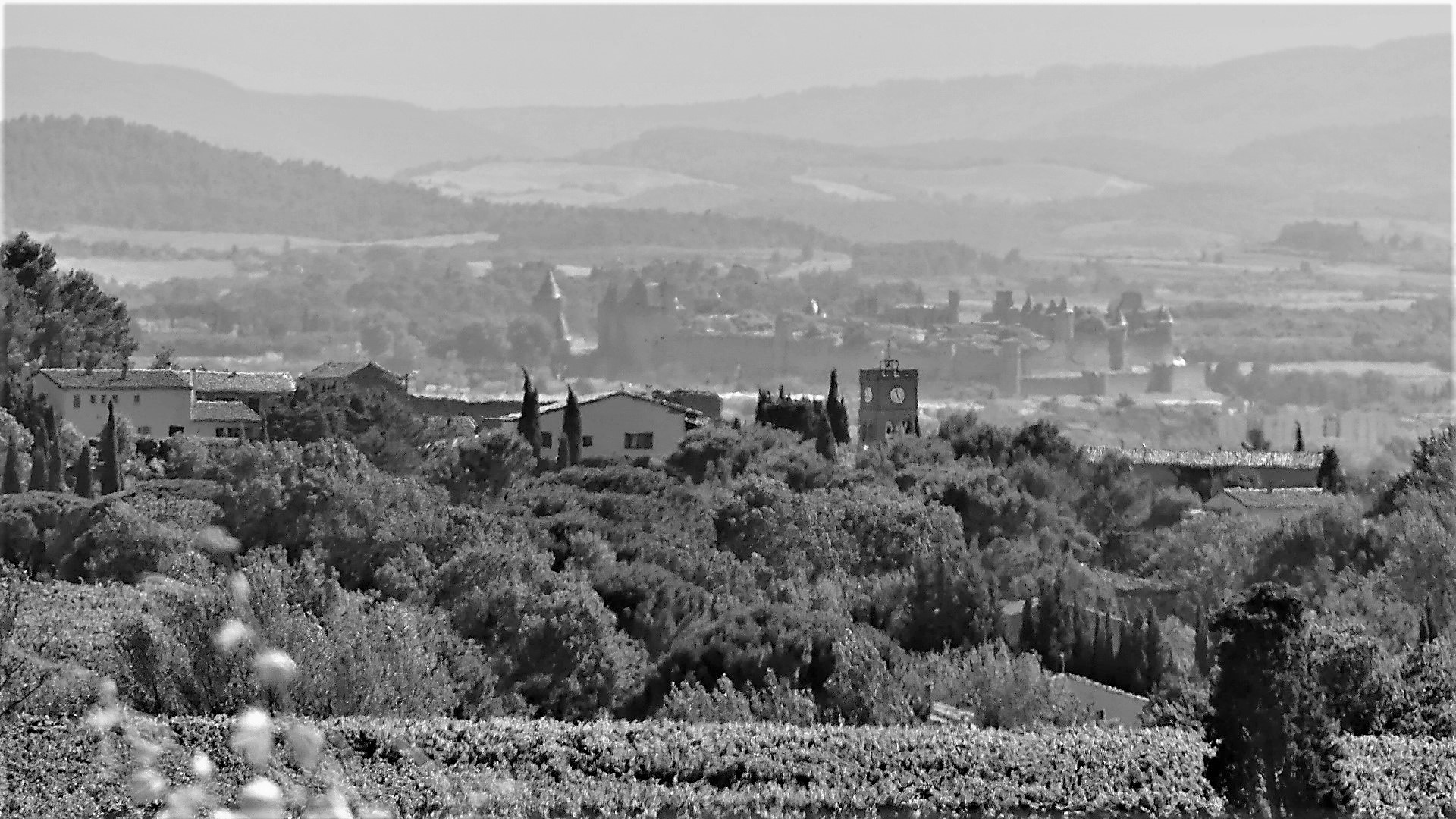 P1160279 - Copie