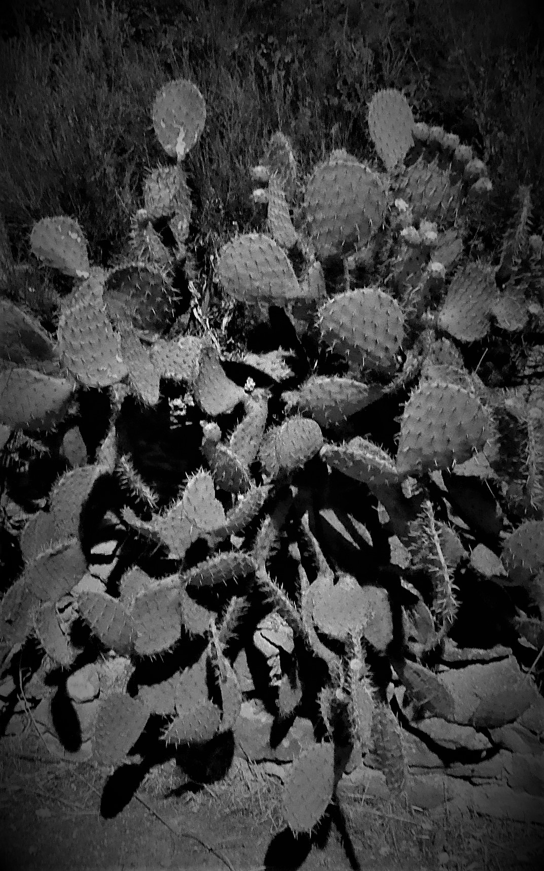 P1160488
