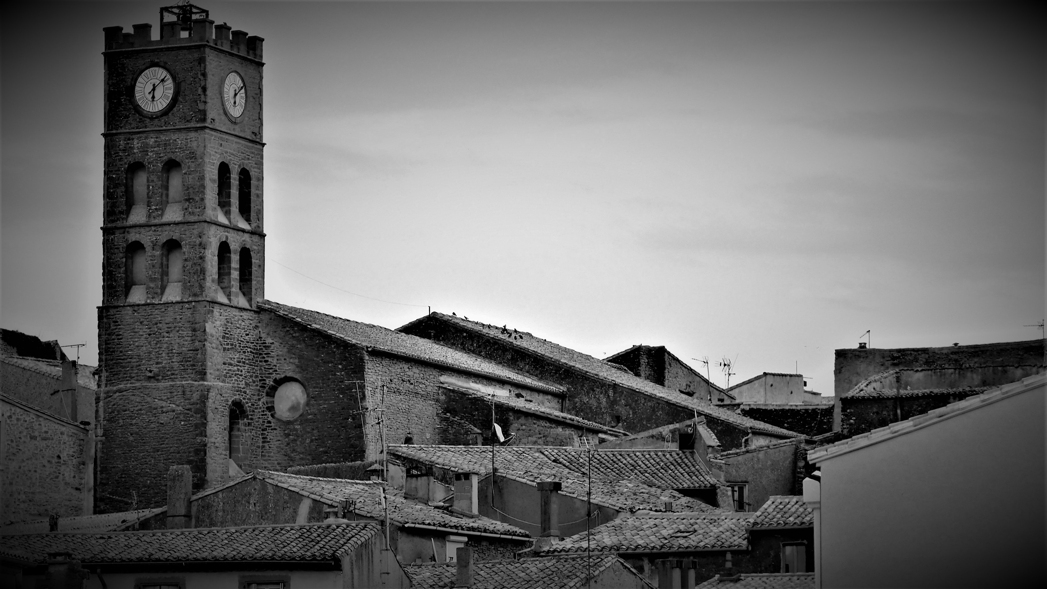 P1170555